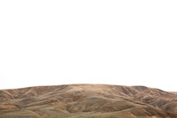 Velvet Landscape