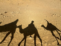 Fun Shadows