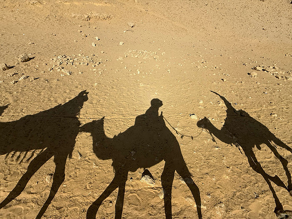 Fun Shadows