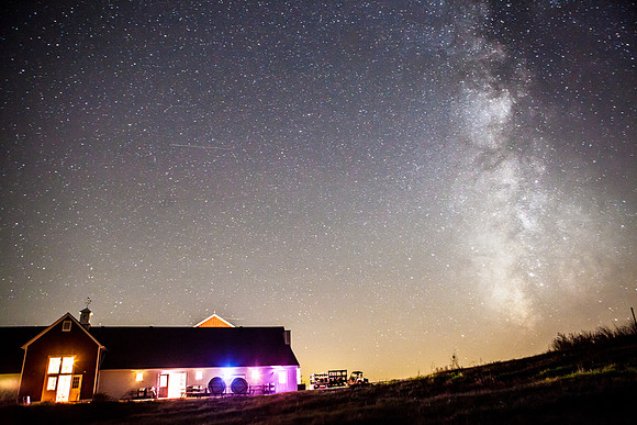 Morgan Miller Photography