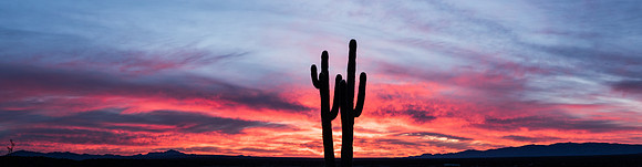 Alamo Lake State Park, Arizona