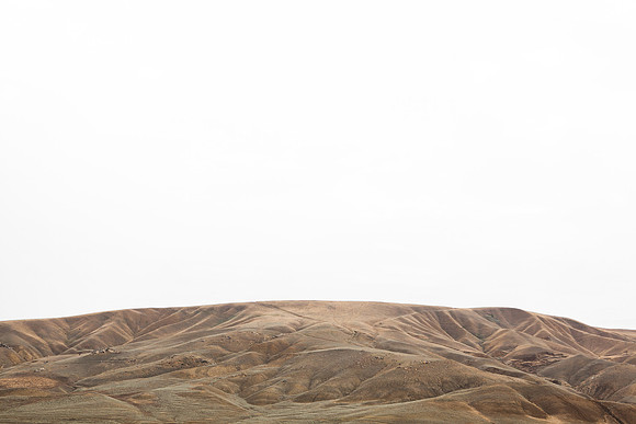 Velvet Landscape