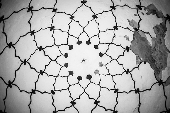 ceiling frecso